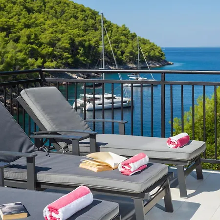 Villa Beautiful With Infinity Pool, Hvar *